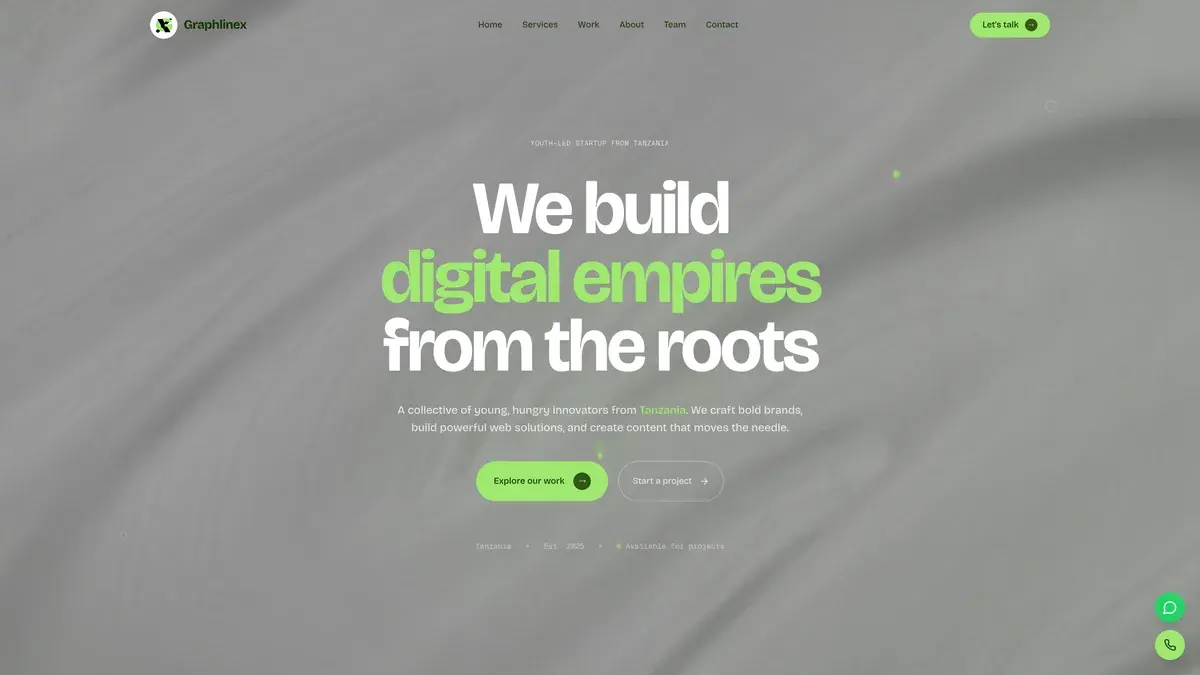 GraphLineX youth-led digital startup landing page from Tanzania